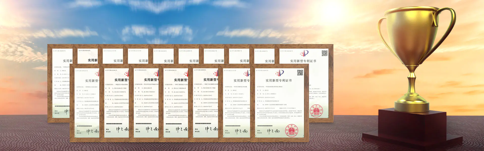 Kvalifikasiyalar və Şöhrətlər