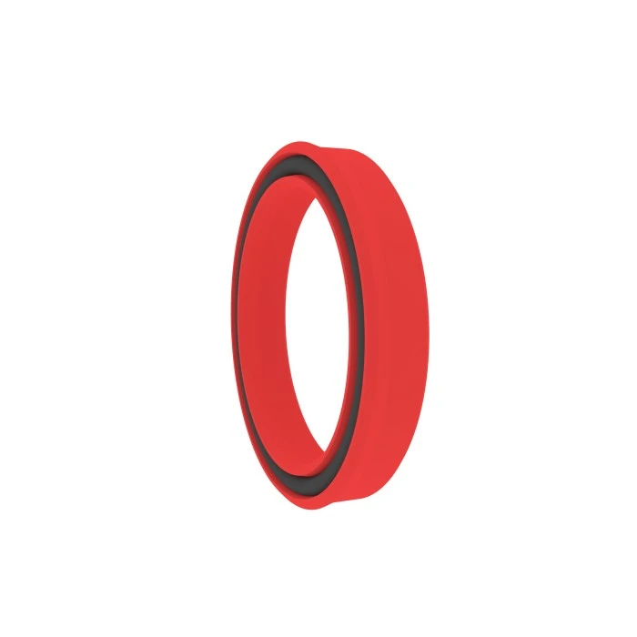 Hydraulic Seals For Pistons And Piston Rods Hydraulic Seals For Pistons And Piston Rods