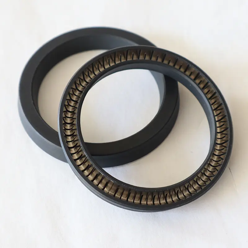 Radial Spring Energized Seals