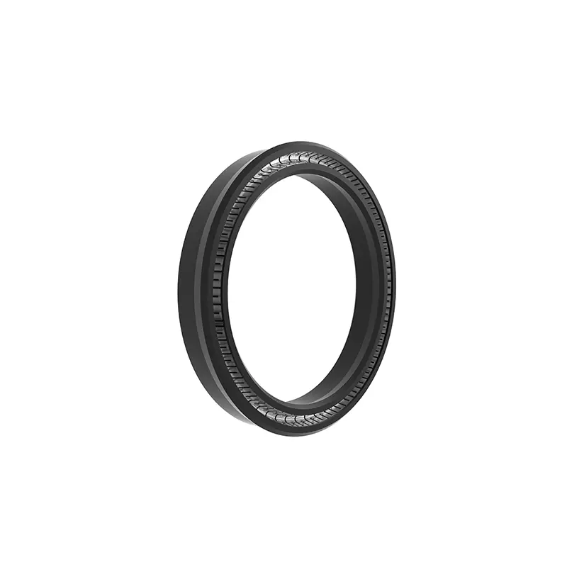Radial Spring Energized Seals