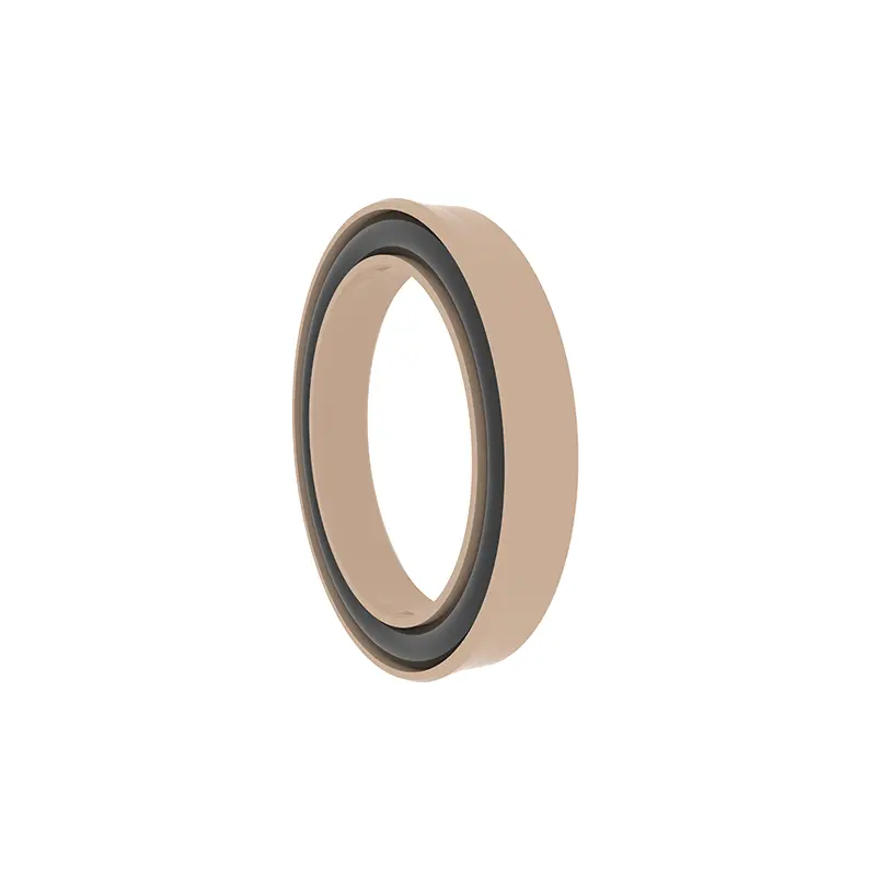 Radial Spring Energized Seals