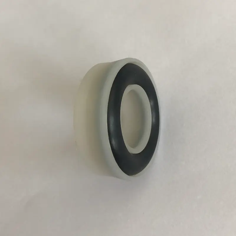 Radial Spring Energized Seals