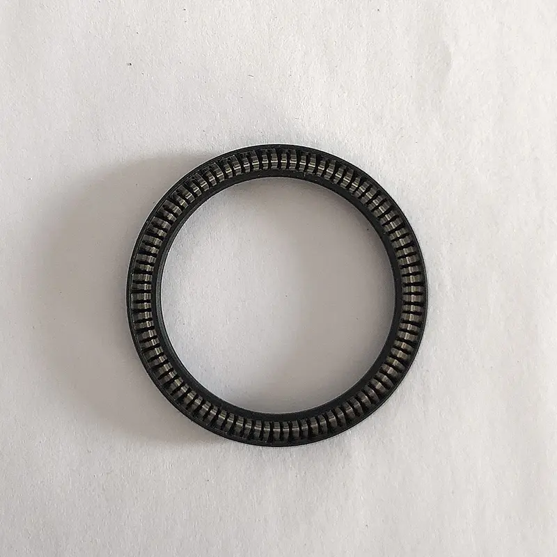 Radial Spring Energized Seals
