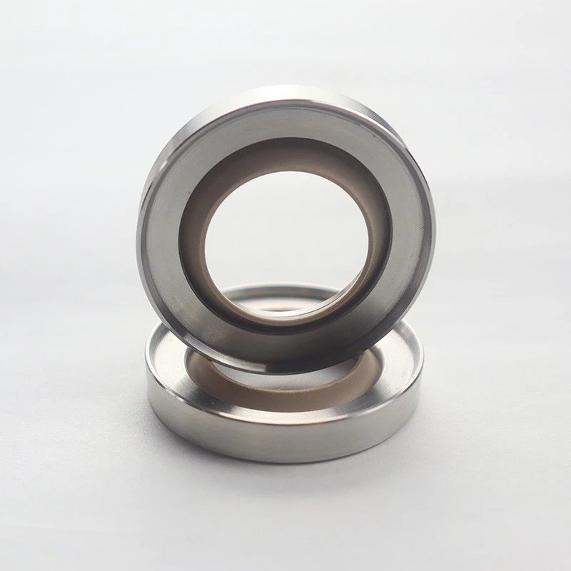 High Pressure Rotary Seals